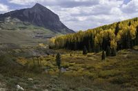 a large field in the middle of a mountain surrounded by trees and rocks along side of a road