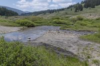 a creek runs through a small meadow in the mountains surrounding it is very hard to cross