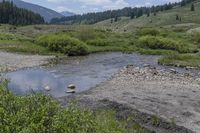 a creek runs through a small meadow in the mountains surrounding it is very hard to cross