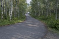 a person walking down a path between a forest near trees and a truck parked behind it