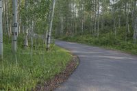 a person walking down a path between a forest near trees and a truck parked behind it