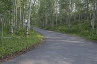 a person walking down a path between a forest near trees and a truck parked behind it