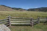 Colorado Mountain Landscape: A Field of Green Grass