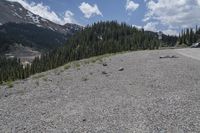 a group of birds are resting on a gravel road surrounded by mountains and trees and snow