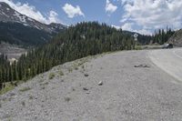 a group of birds are resting on a gravel road surrounded by mountains and trees and snow