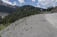 a group of birds are resting on a gravel road surrounded by mountains and trees and snow