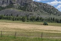 a green tractor is driving through a grassy field with mountains behind it and trees in the foreground