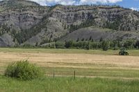 a green tractor is driving through a grassy field with mountains behind it and trees in the foreground