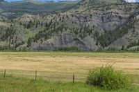 a field with some green tractor in the distance next to hills and grass with trees