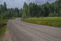 Colorado Mountain Landscape: Kebler Pass