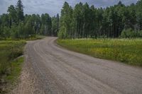 Colorado Mountain Landscape: Kebler Pass