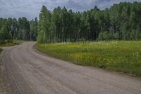 Colorado Mountain Landscape: Kebler Pass