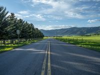 a empty road that goes through a grassy area with mountains in the background as well as trees