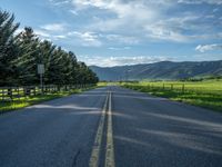 a empty road that goes through a grassy area with mountains in the background as well as trees