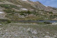 a lake and a mountain, with green vegetation on the side of it with snow covered mountains