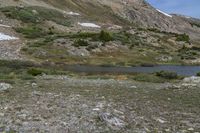 a lake and a mountain, with green vegetation on the side of it with snow covered mountains