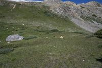 Colorado Mountain Landscape: Nature and Grass