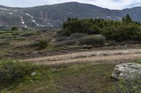 Colorado Mountain Landscape: Off Road Adventure