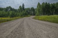 a gravel road next to trees and yellow wild flowers and shrubs under cloudy skies and white clouds