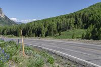 a rural country road in the distance with mountain ranges in the background and wild flowers growing along the roadside