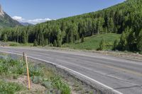 a rural country road in the distance with mountain ranges in the background and wild flowers growing along the roadside