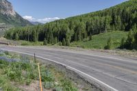 a rural country road in the distance with mountain ranges in the background and wild flowers growing along the roadside