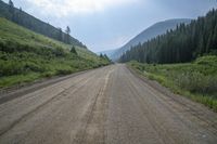 a gravel road surrounded by forested hillsides near trees and a mountain range in the distance