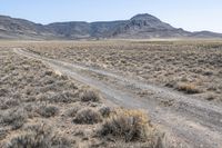 Off-Roading in Colorado: Exploring the Mountainous Wilderness