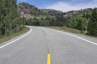 Scenic View: Road through Colorado's Mountain Pass