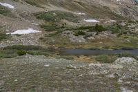 Colorado Mountain Range with Grass Surface and Snow