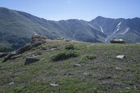 the view of mountain ranges with rocks and grass on a hillside by mountains with snow