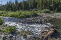 the stream that is running over rocks into the water is covered with trees and debris