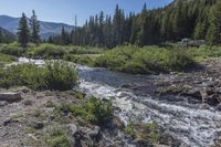 the stream that is running over rocks into the water is covered with trees and debris