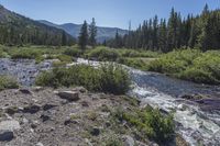 the stream that is running over rocks into the water is covered with trees and debris