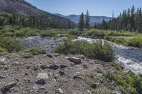 the stream that is running over rocks into the water is covered with trees and debris