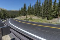 a curved highway with yellow line on the side in the mountains with pine trees in the foreground