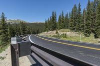 a curved highway with yellow line on the side in the mountains with pine trees in the foreground