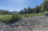 Colorado Mountain Road: A Day with Clear Skies