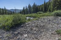 Colorado Mountain Road: A Day with Clear Skies