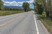 Colorado Mountain Road: Daytime Scenic View