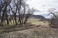 Colorado Mountain Road: Dirt and Low