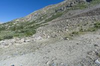 Colorado Mountain Road: A Dirt Scenic Landscape