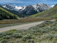 the road is paved with yellow markings and has a snowy mountain range in the background