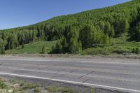 road next to the highway and hill covered in flowers and trees, with shrubs surrounding