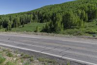 road next to the highway and hill covered in flowers and trees, with shrubs surrounding