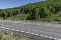 road next to the highway and hill covered in flowers and trees, with shrubs surrounding