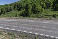 road next to the highway and hill covered in flowers and trees, with shrubs surrounding