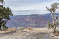 Colorado Mountain Road: A Nature View