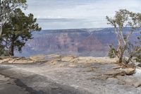 Colorado Mountain Road: A Nature View