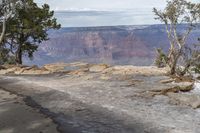 Colorado Mountain Road: A Nature View